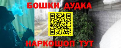 spice Кинель