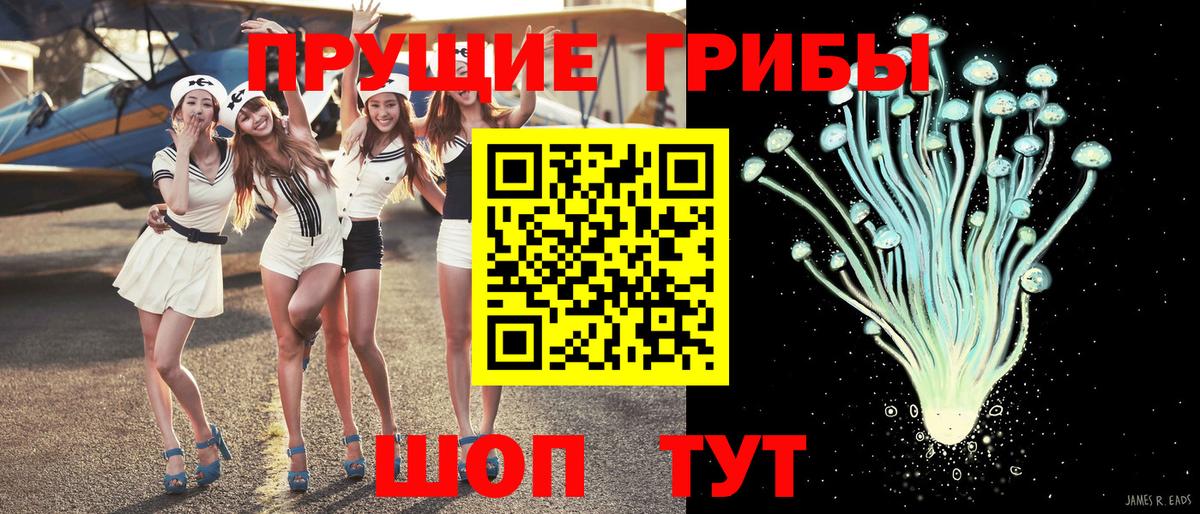 Галлюциногенные грибы GOLDEN TEACHER  Вход с VPN  Кондопога  Псилоцибиновые грибы мицелий 